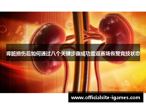 肾脏损伤后如何通过八个关键步骤成功重返赛场恢复竞技状态