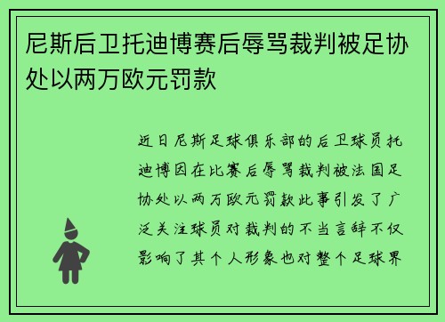 尼斯后卫托迪博赛后辱骂裁判被足协处以两万欧元罚款